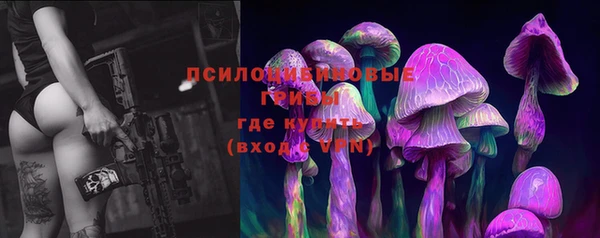 прущие крисы Мегион