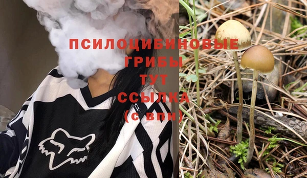 прущие крисы Мегион