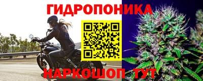 молекула духа Ирбит