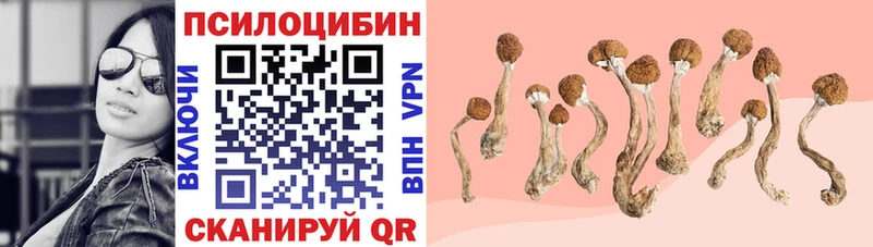 Псилоцибиновые грибы GOLDEN TEACHER  площадка официальный сайт  Сухой Лог 