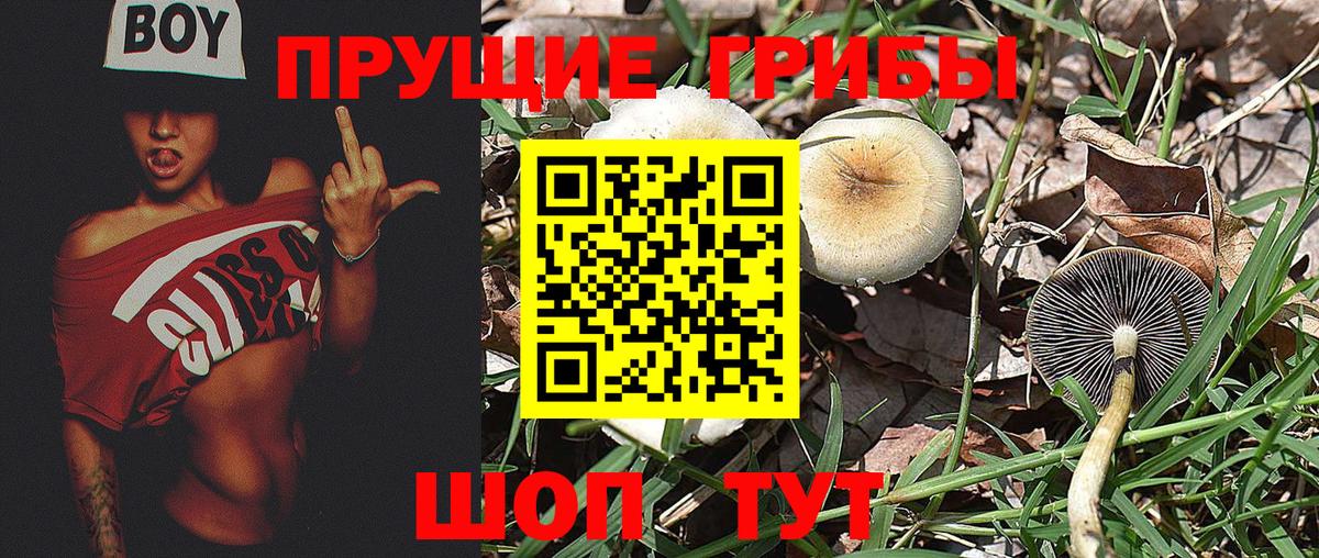 Псилоцибиновые грибы прущие грибы Сухой Лог