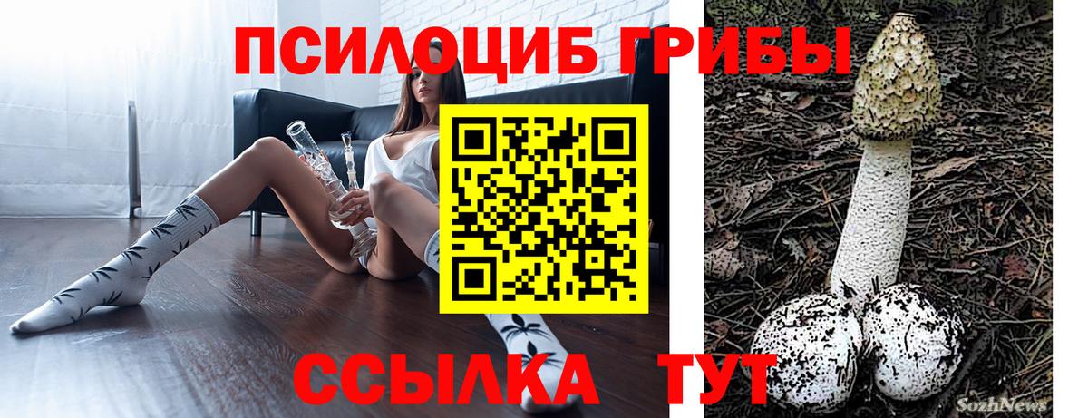 Галлюциногенные грибы GOLDEN TEACHER  наркотики  Сухой Лог  Вход с VPN 